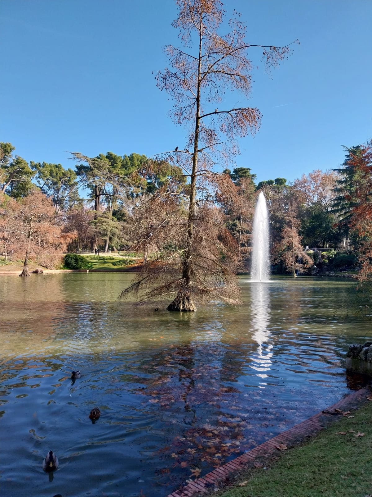 El Retiro, visita el parque más emblemático de Madrid